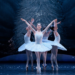Tiny pretty things : le monde impitoyable du ballet classique