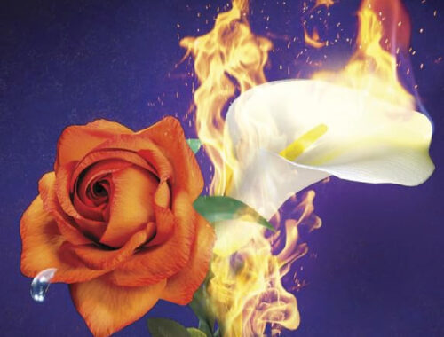 The same backward as forward de Jennifer Lynn Barnes