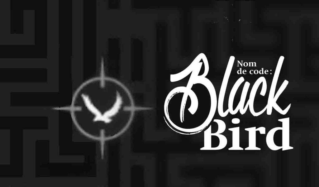 5 raisons de lire Nom de code Blackbird - Lisly s world