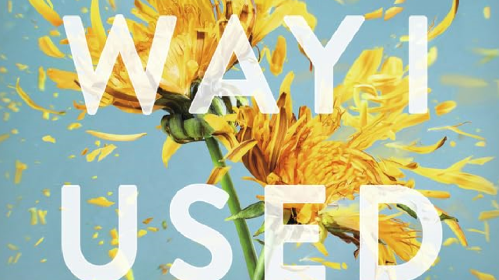 The way I used to be de Amber Smith - Lisly s world