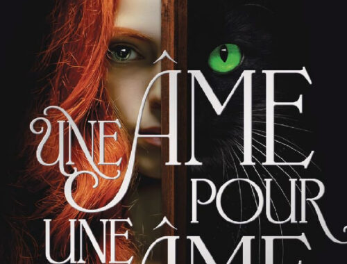 La promesse d'Avalon tome 1 : Une âme pour une âme