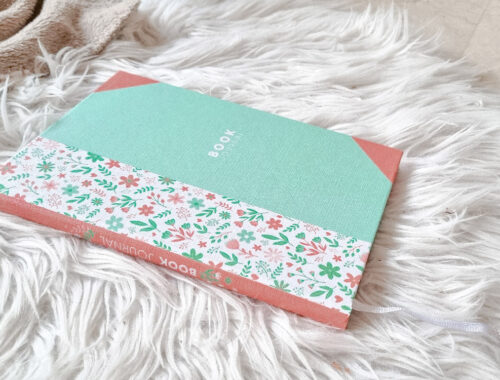 Un carnet de lecture en plus de mon Bullet Journal ?