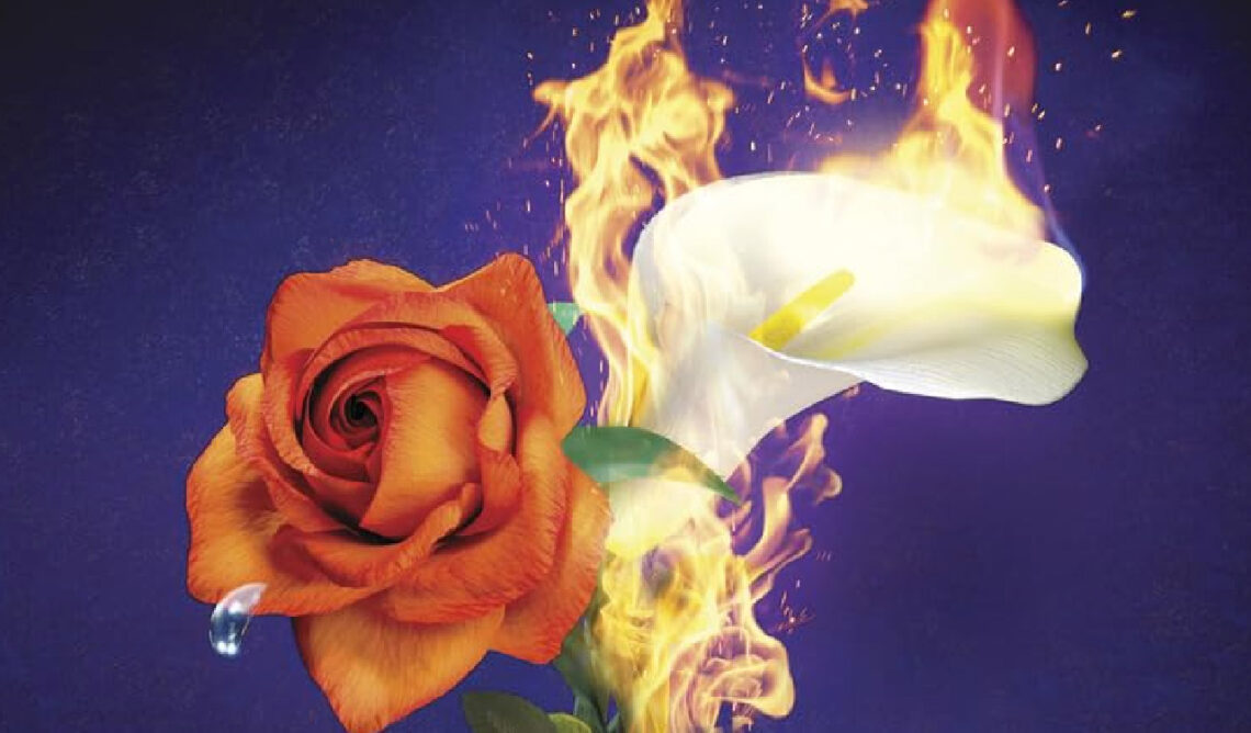 The same backward as forward de Jennifer Lynn Barnes