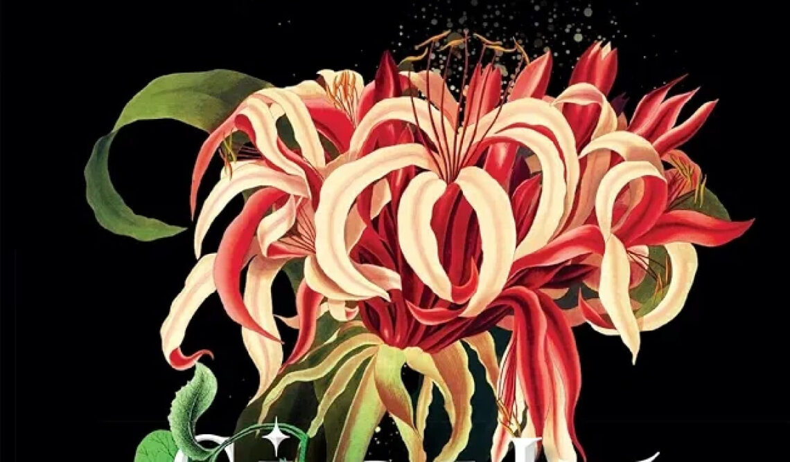 Sight Unseen d'Alexis Marie
