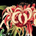 Sight Unseen d'Alexis Marie